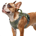 rabbitgoo Tactical Dog Harness for Small Dogs, No Pull Service Pet Vest - color: Green Camo, size: S(Chest:16.1"-31.5",Neck:15.4"-21.6",Back:7.1")
