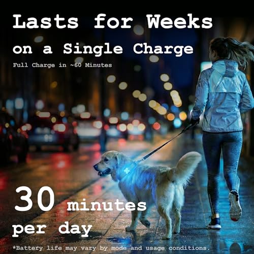 Dog Collar Light, Rechargeable LED Dog Safety Light for Night Walking, Clip-On or Strap-On Pet Light for Collar, Harness and Leash, High Visibility, Water-Resistant, USB-C, White - color: White