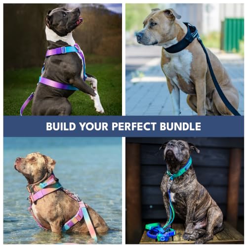 Spark Paws Hands Free Dog Leash - Bungee Waist Belt for Running & Walking - color: Lilac