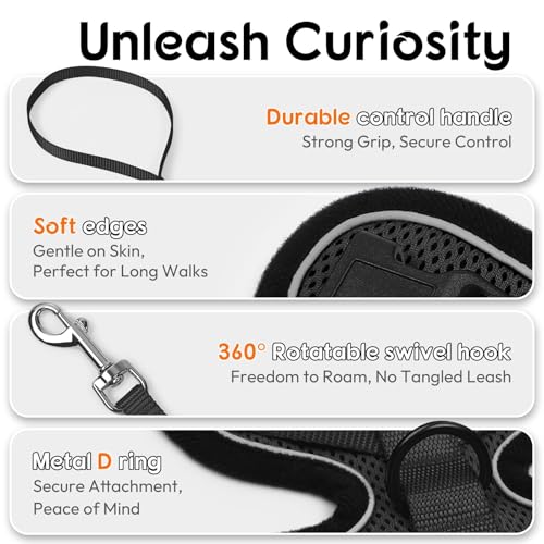 Dooradar Cat Harness and Leash Set, Adjustable and Escape Proof, XXS - color: Black, size: Xxs