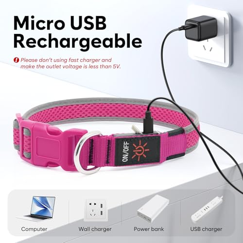 Flashseen LED Dog Collar, Light Up Dog Collar USB Rechargeable, Pink, L - color: Pink, size: Large