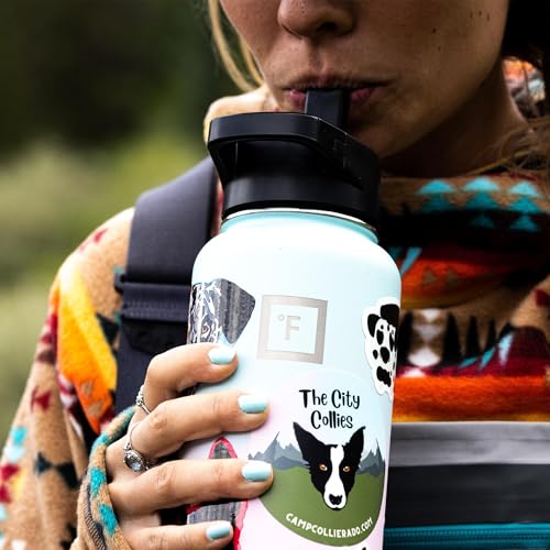 IRON °FLASK Camping & Hiking Hydration Flask with Straw, Wide Mouth Insulated Stainless Steel Sports Water Bottle - 18 oz Bubble Gum