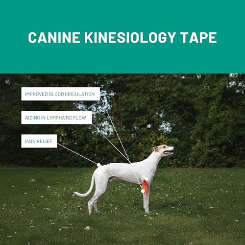 Canine & Equine Kinesiology Tape, Intro Offer 3 Size Tapes