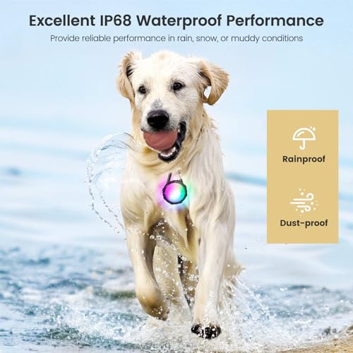 Super Bright Dog Collar Light for Night Walking, 4 Modes, Waterproof, 2 Pcs