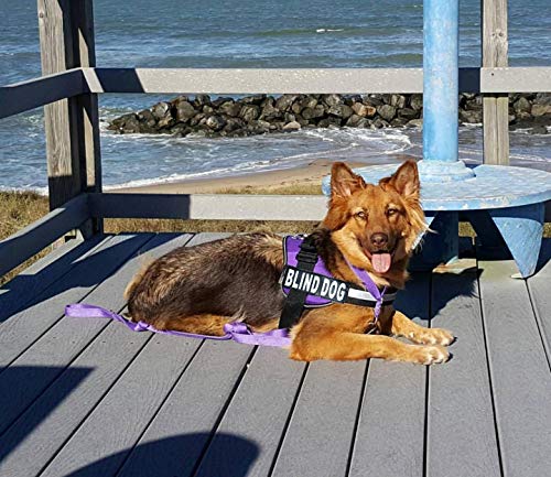 Doggie Stylz Blind Dog Harness, No Pull, Adjustable - color: Purple, size: Girth 12-16"