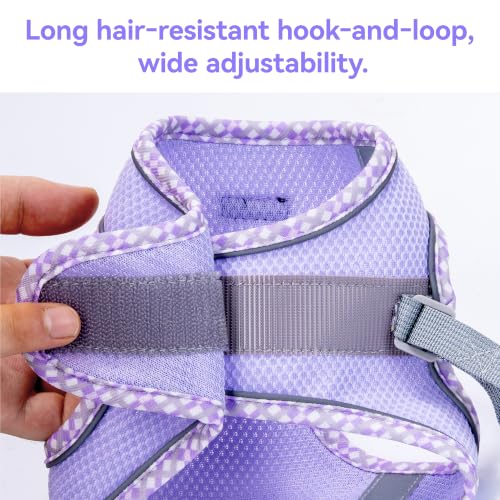 Petank Step in Dog Harness No Pull and Leash for Small Medium Dogs Cats. - color: Purple, size: XXS
