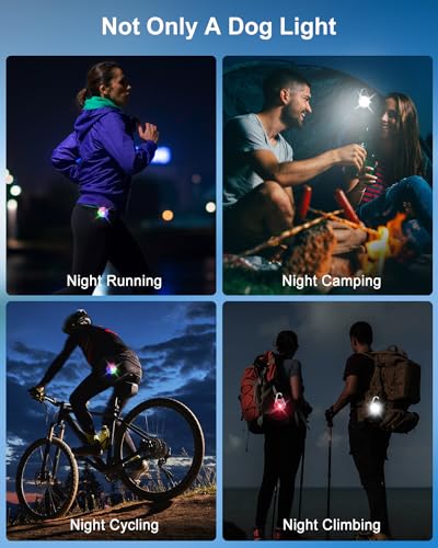 2 Pack Dog Collar Light, 4 Modes Clip On Dog Lights for Night Walking, Glow in the Dark LED Pet Collar Charm, Rechargeable Pet Camping Essentials for Nighttime Running, Cycling, Hiking(White) - color: White
