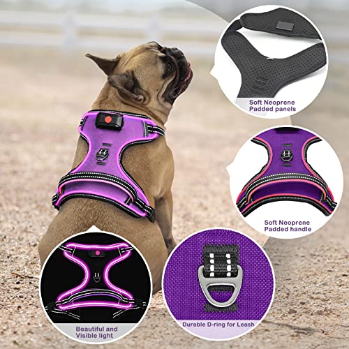 Light Up Dog Harness, Rechargeable LED Dog Vest for Night Walking - color: Purple-Pink, size: XS