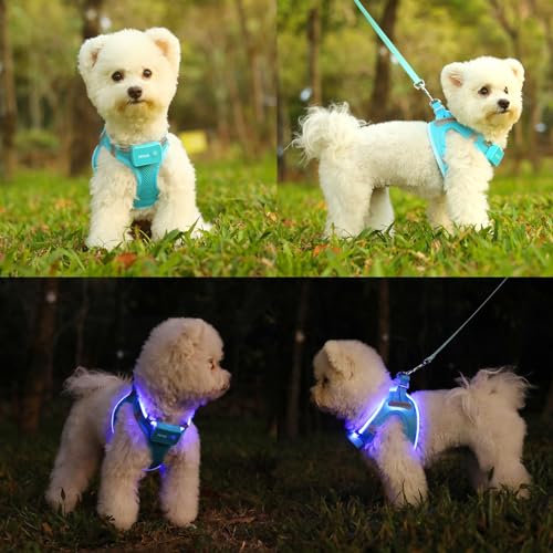 Light Up Dog Harness, Rechargeable LED Dog Harness for Small Medium Dogs - color: Blue, size: M