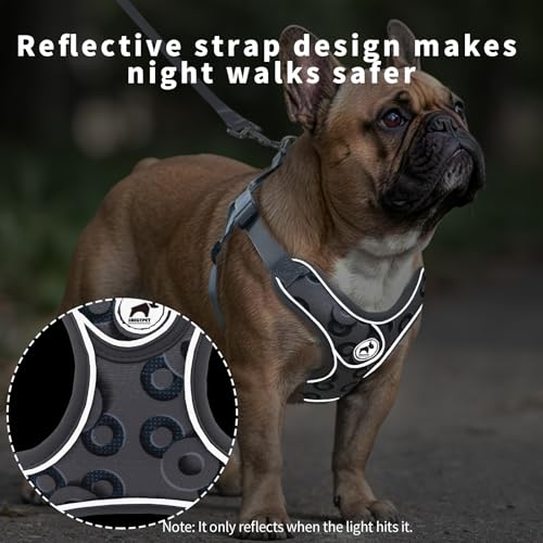 Dog Harness with Leash Set, No Pull Adjustable Step in Pet Vest - color: Gray-2, size: XS