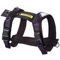 Adjustable Dog Harness, No-Pull D-Ring - Alpine Outfitters Urban Trail – Padded, Reflective, Multi-Use for Hiking, Running, and Everyday Wear - Medium Purple - color: Purple, size: Medium