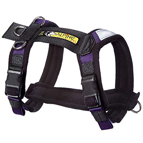 Adjustable Dog Harness, No-Pull D-Ring - Alpine Outfitters Urban Trail – Padded, Reflective, Multi-Use for Hiking, Running, and Everyday Wear - Large Purple - color: Purple, size: Large