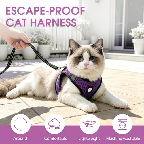 Heywean Cat Harness and Leash Escape Proof, Soft Breathable Mesh Kitty Walking Vest, Adjustable Step-in Kitten Harness Set with Reflective Strip for Small Cats - color: Purple, size: Small