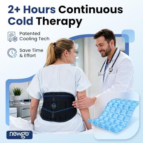 NEWGO Ice Pack for Lower Back Pain Relief, 2 Hours Long-Lasting - size: Ice Cube Pack