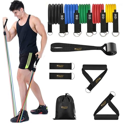 Resistance Bands with Handles, 11-Piece Exercise Band Set for Home Gym, 5 Stackable Tubes with Door Anchor, Ankle Straps and Carry Bag