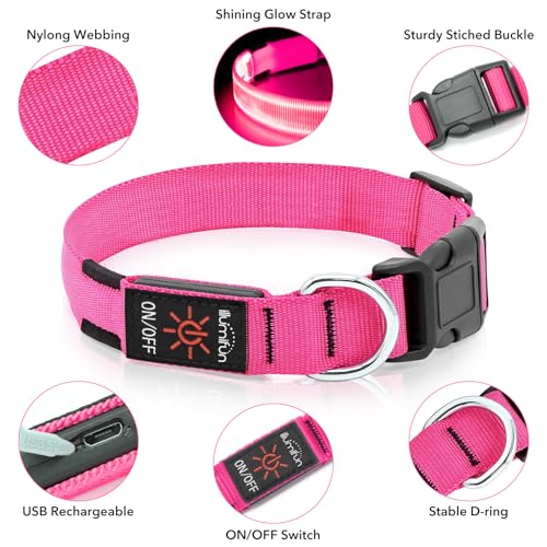 Illumifun LED Dog Collar, USB Rechargeable Light Up Collars, Waterproof Adjustable Safety Light for Small Dogs Night Walking (Pink, Small) - color: Pink, size: Small