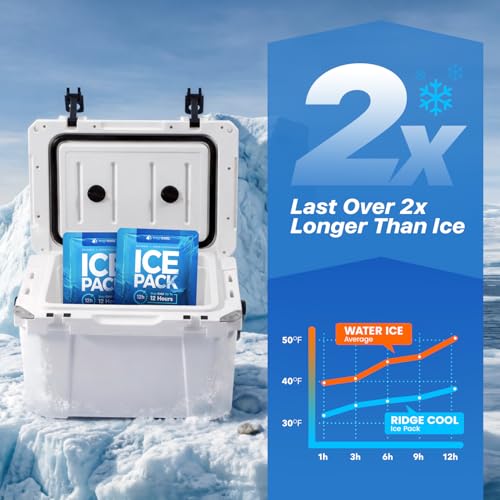 Ice Packs for Cooler, Reusable Ice Packs for Lunch Boxes, 4 Pack Long Lasting Freezer Packs, Leakproof Cooler Ice Packs for Lunch Bags and Coolers, BPA-Free, Food Safe - size: 4-Pack / 250g Each