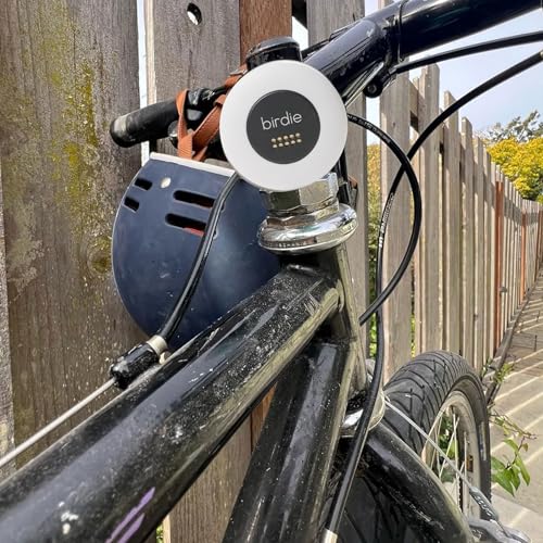 She's Birdie - The Original Personal Safety Alarm Disc for Bikes, Hikes, and Late Nights - Loud Siren, LED Light for Extra Visibility, Rechargeable, Handsfree, Lightweight, Water Resistant (Charcoal) - color: Charcoal