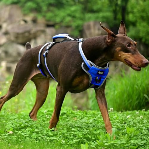 PUPTECK Escape Proof Dog Harness with Padded Handle, No Pull Pet Vest Harness Durable Reflective for Medium Large Dogs Walking Training and Running, Navy Blue, M - color: Blue, size: Medium