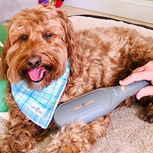 PAW WAVE Buzz Therapeutic Brush Vibration Pet Massager for Dogs and Cats Designed to Help Soothe Tension, Increase Circulation and Relieve Tight Muscles
