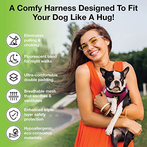 EcoBark Teacup Dog Harness, Soft Toy Breed Step in Vest Body Halter, XXXS - color: Fuchsia Pink Sport, size: XXXS- 2 to 3 lbs- Chest up to 10 in (Pack of 1)