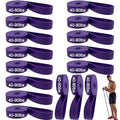 16-Pcs Resistance Bands Set - Premium Elastic Workout Bands for Home Gym, Strength Training, Yoga & Physical Therapy - color: purple（40-90lbs）