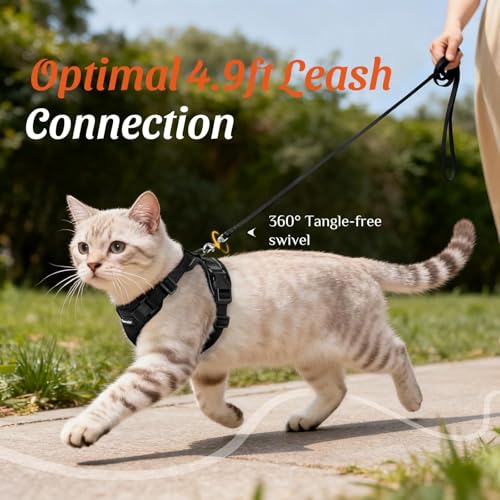Dooradar Cat Harness and Leash Set, Adjustable and Escape Proof, S - color: Black, size: S