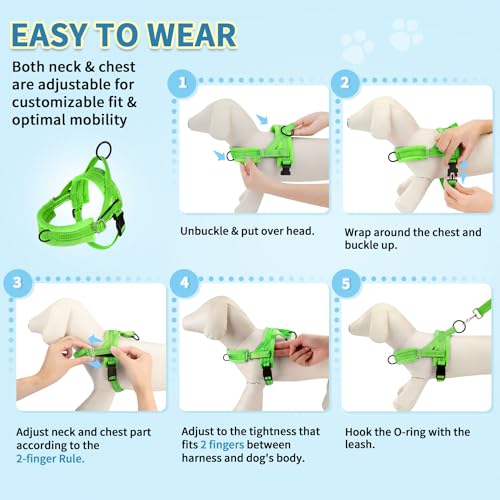 SlowTon No Pull Small Dog Harness and Leash Set with Front Clip - color: Green, size: Small