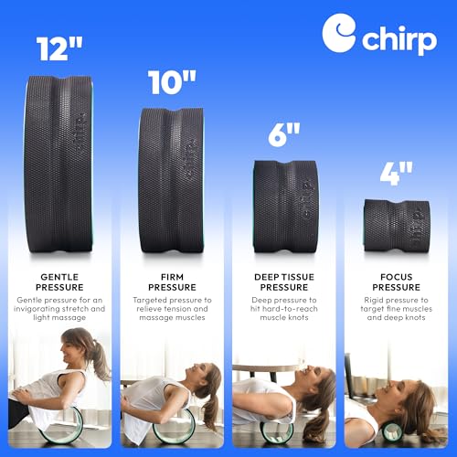 Chirp Wheel+ Foam Roller 4-Pack, Back & Neck Pain Relief, Mint - size: 4-Pack Mint