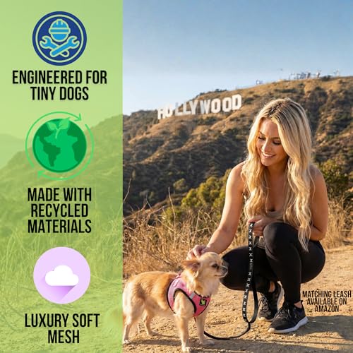 EcoBark Premium Teacup Dog Harness, Step in Mini Puppy Vest, XXXS - color: Bubblegum Pink, size: XXXS- 2 to 3 lbs- Chest up to 10 in (Pack of 1)