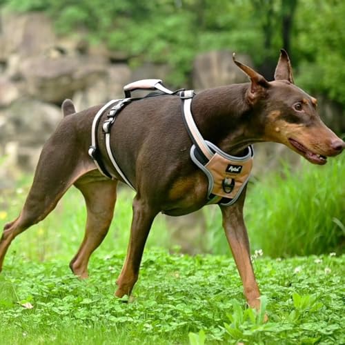PUPTECK Escape Proof Dog Harness with Padded Handle, No Pull Pet Vest Harness Durable Reflective for Medium Large Dogs Walking Training and Running, Moccasin, XL - color: Moccasin, size: X-Large