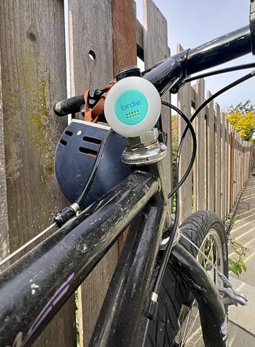 She's Birdie - The Original Personal Safety Alarm Disc for Bikes, Hikes, and Late Nights - Loud Siren, LED Light for Extra Visibility, Rechargeable, Handsfree, Lightweight, Water Resistant (Aqua) - color: Aqua