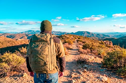 35L Tactical Backpack Military Rucksack MOLLE Quick-Access Flap EDC Pack for Hiking Camping Travel Work Bugout Emergency - color: Olive Green