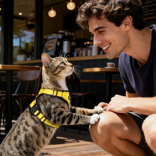 Dooradar Cat Harness and Leash Set, Adjustable and Escape Proof, XXS - color: Yellow, size: Xxs