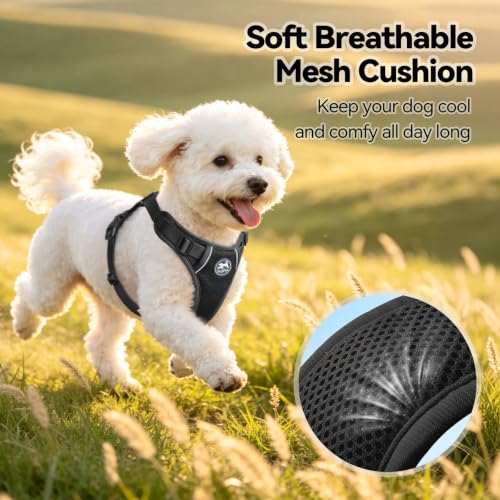 PoyPet Mesh Dog Harness, Reflective Breathable Puppy Vest for Small Dogs - color: Black, size: S