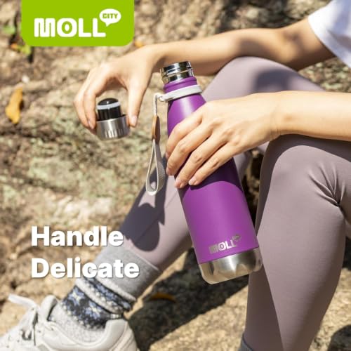 17 oz Stainless Steel Vacuum Insulated Sports Water Bottle No Straw - color: Dark Purple, size: 17 Ounces