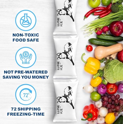 Dry Ice Packs for Shipping - Long Lasting ice Packs - 24+ Hour Freeze Power - BPA Free - 12 Pack Bulk 3 lb – Hielo Seco - Reusable Gel Bricks for Food - size: Medium