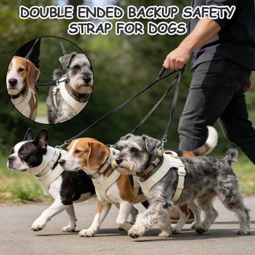 YUEPET 2 Pack Dog Collar Safety Clips, Adjustable Prong Collar Backup Clips - color: Bright Black*2（Trapezoid Black)