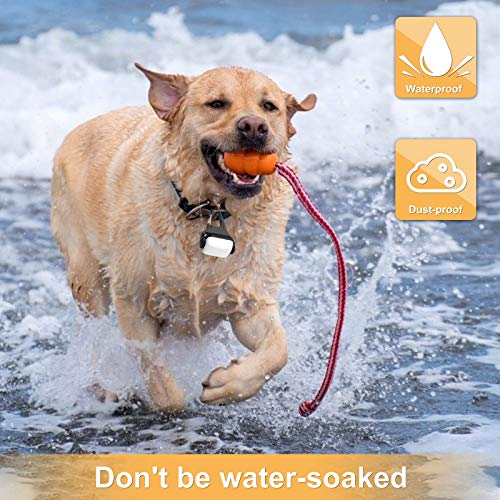 Dog Lights for Night Walking, Clip on Dog Collar Light - 3 Modes, USB-C Rechargeable, IP65 Waterproof, LED Safety Light for Running, Camping, Climbing, Bike - color: White-2pcs-3Modes