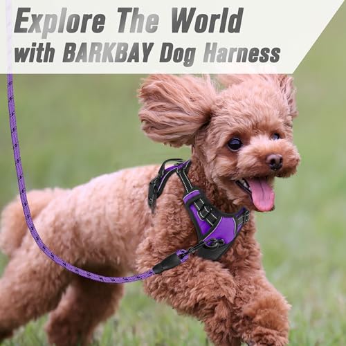 BARKBAY Dog Harness No Pull for Small Sized Dog Front Back Clips,Dog Vest - color: Purple, size: X-Small(Chest:15.5-19.5”)