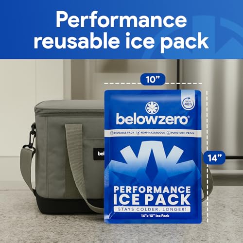 Below Zero Prefilled Reusable Ice Packs for Coolers | Long Lasting Freezer Ice Blocks for Camping, Lunch Bags & More | 48 Hour Cooler Ice Pack Technology - style: Large - 2pk (New Design)