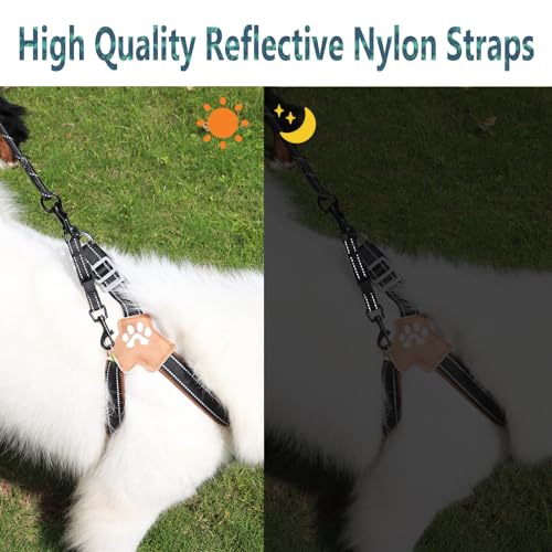 Adjustable Dog Collar Safety Backup Clip,Black - color: Black, size: M(7.2~8.7 in adjustable length x 0.6 in width)