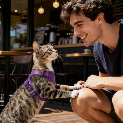 Dooradar Cat Harness and Leash Set, Adjustable and Escape Proof, XXS - color: Argyle Purple, size: Xxs