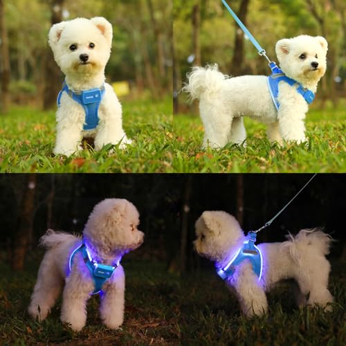 Light Up Dog Harness, Rechargeable LED Dog Harness for Small Medium Dogs - color: Sky Blue, size: XS
