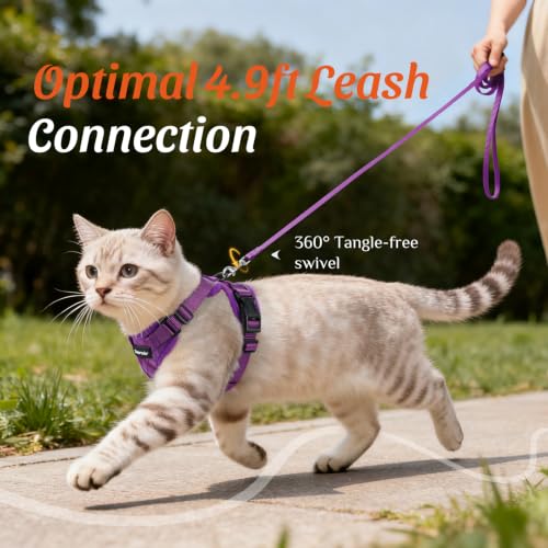 Dooradar Cat Harness and Leash Set, Adjustable and Escape Proof, XXS - color: Argyle Purple, size: Xxs