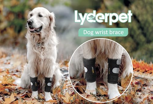 Dog Front Leg Brace Ankle Support for Forelilmb, Canine Dog Wrist Brace Splint, Protects Foreleg Carpus Joint Wounds Heals, Helps with Loss of Stability Caused by Arthritis - size: XXS/XS