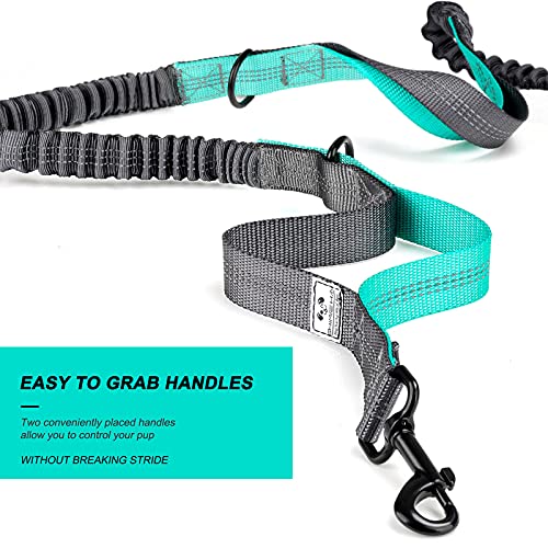 SHINE HAI Retractable Hands Free Dog Leash with Dual Bungees for 2 Dogs, Adjustable Waist Belt Fanny Pack, Reflective Stitching Leash for Running Walking Hiking Jogging Biking Black - color: Blue/Black