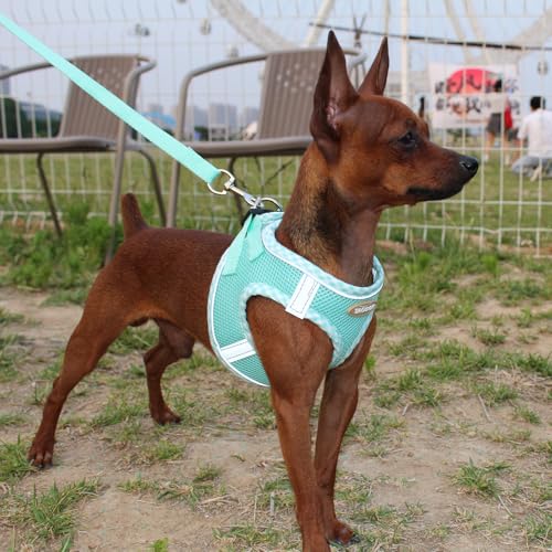 Dog Harness and Leash Set, Soft Breathable Mesh Doggy Vest, Adjustable No-Pull Chest Harness with Reflective Trim, Walking Set for Small & Medium Size Pet & Mini Poodle Puppy, L Size Green - color: GREEN, size: L