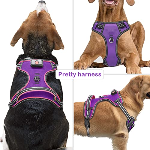 Light Up Dog Harness, Rechargeable LED Dog Vest for Night Walking - color: Purple-Pink, size: XS