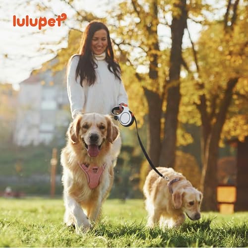 Dog Harness and Leash Set with Collar, No Pull Reflective Pet Vest Harness with Control Handle for Medium Large Dogs Walking and Training - color: Pink, size: M(Neck:18.1-28.3",Chest:21.3-28.3")
